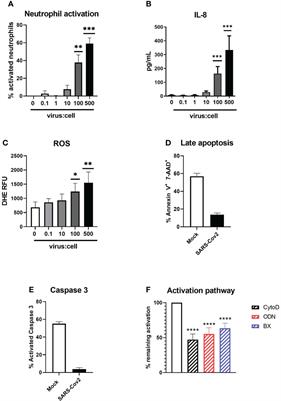 Differential activation of human neutrophils by SARS-CoV-2 variants of concern